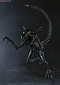 Alien vs. Predator -  Alien Warrior - S.H.MonstertArts