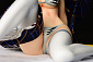 Fairy Tail - White Tiger Gravure_Style, Byakko Gravure_Style - Erza Scarlet