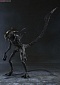 Alien vs. Predator -  Alien Warrior - S.H.MonstertArts